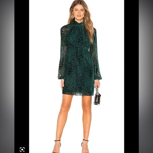 A.L.C. Nadia Animal-Print Velvet Burnout Dress Emerald Revolve Size 6 - Picture 1 of 15